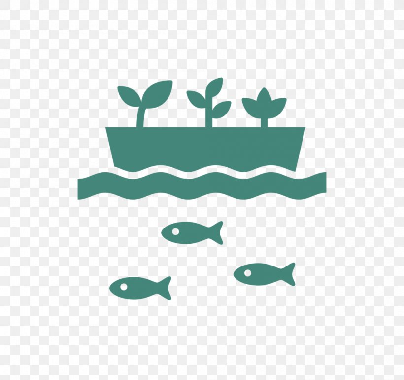 Aquaponics Back To The Roots Amazon.com, PNG, 1000x940px, Aquaponics, Agriculture, Amazoncom, Aqua, Aquaculture Download Free