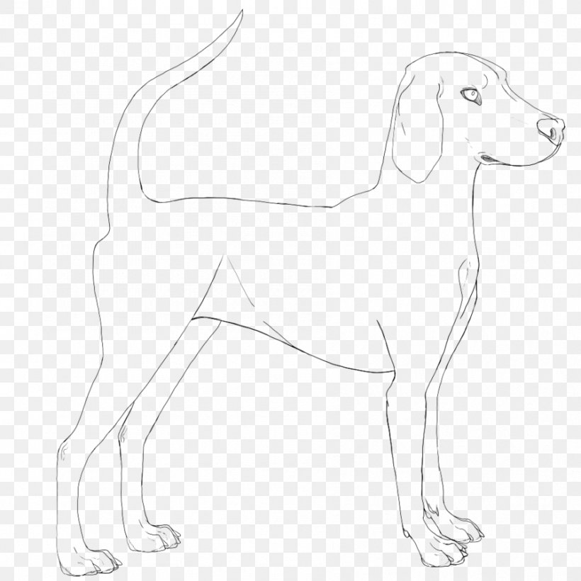 Dog Breed Puppy Companion Dog Line Art, PNG, 894x894px, Dog Breed, Artwork, Black And White, Breed, Carnivoran Download Free