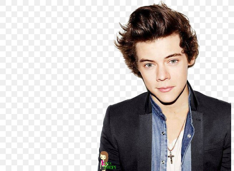 Harry Styles 2013 Brit Awards The X Factor One Direction Photo Shoot, PNG, 800x600px, Watercolor, Cartoon, Flower, Frame, Heart Download Free