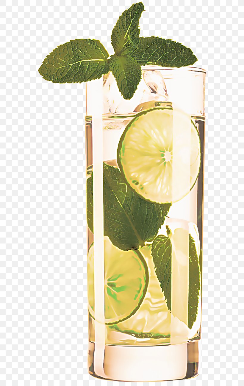 Lime Key Lime Citrus Lemon Highball Glass, PNG, 600x1300px, Lime, Citrus, Drink, Highball Glass, Key Lime Download Free