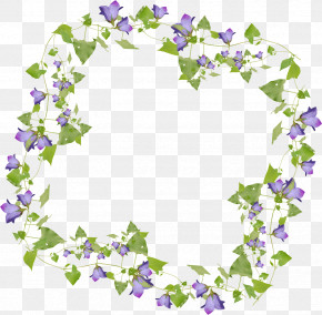 Morning Glory Frame Flower Frame Floral Frame PNG