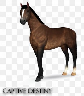 Equine Coat Color - Stallion The Sims 3 Hanoverian Horse Foal Pony PNG