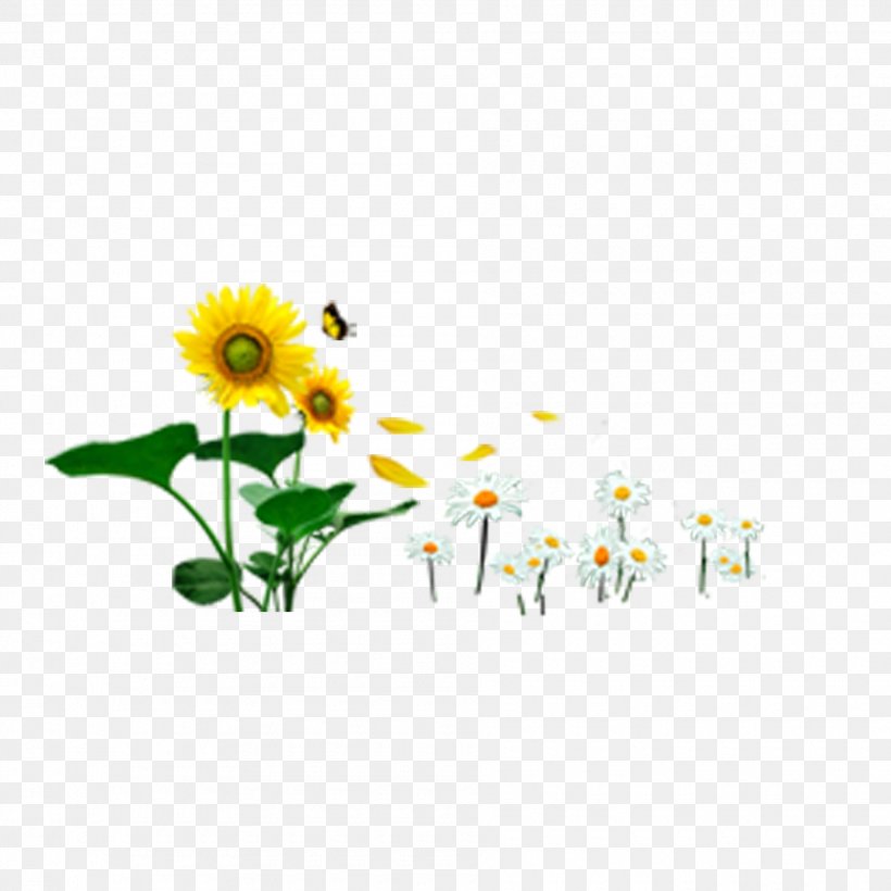 Butterfly Common Sunflower Icon, PNG, 1890x1890px, Butterfly, Chrysanthemum, Common Sunflower, Daisy, Daisy Family Download Free