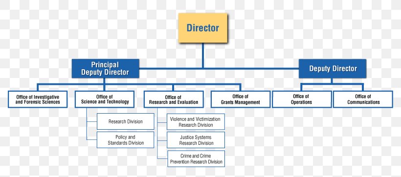 Organizational Chart Diagram National Institute Of Justice, PNG, 800x363px, Organizational Chart, Area, Board Of Directors, Brand, Chart Download Free