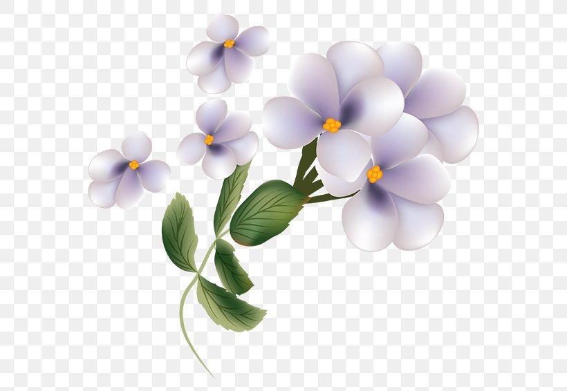 Flower Petal Clip Art, PNG, 566x566px, Flower, Blossom, Blume, Cut Flowers, Flower Bouquet Download Free