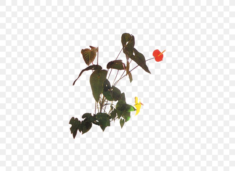 Houseplant Bonsai Download, PNG, 501x596px, Plant, Bonsai, Branch, Flower, Flowerpot Download Free