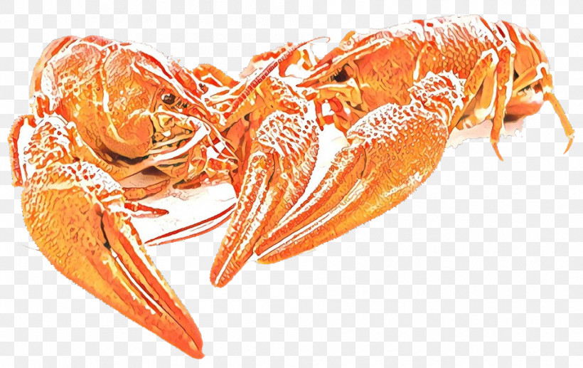 Litopenaeus Setiferus Shrimp Botan Shrimp Dendrobranchiata Lobster, PNG, 950x599px, Litopenaeus Setiferus, Botan Shrimp, Caridean Shrimp, Crayfish, Dendrobranchiata Download Free