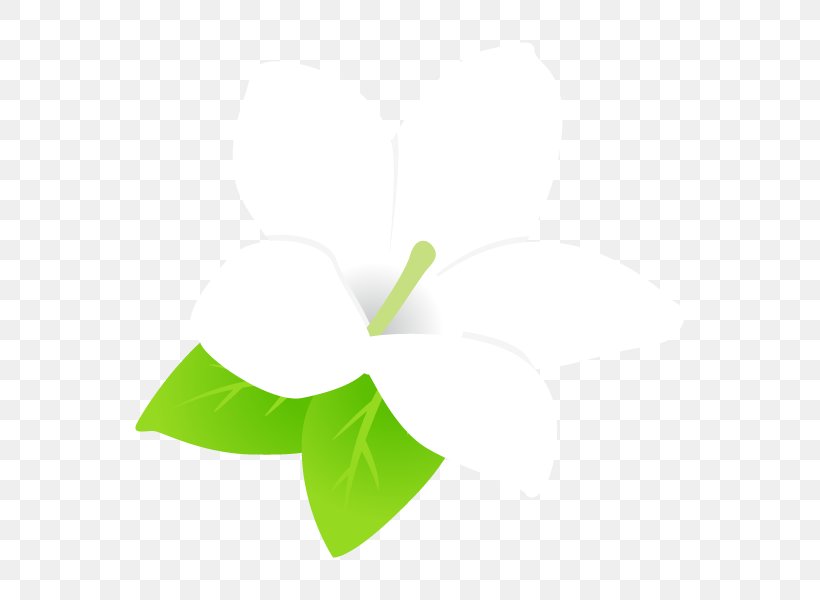 Logo Leaf Clip Art Font Product Design, PNG, 600x600px, Logo, Branch, Computer, Grass, Green Download Free