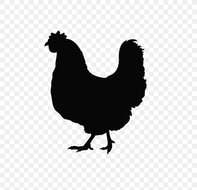 Silkie Rooster Silhouette, PNG, 612x792px, Silkie, Beak, Bird, Black And White, Chicken Download Free