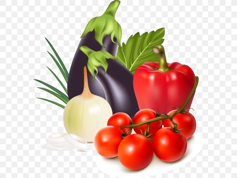 Tomato Eggplant Illustration, PNG, 587x617px, Tomato, Bell Peppers And Chili Peppers, Bush Tomato, Diet Food, Eggplant Download Free