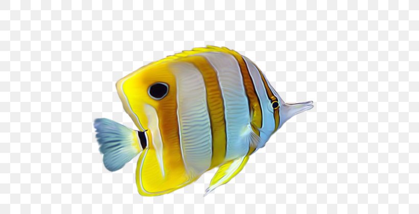 Yellow Tropical Fish, PNG, 600x420px, Yellow, Blue, Color, Fish, Marine Biology Download Free