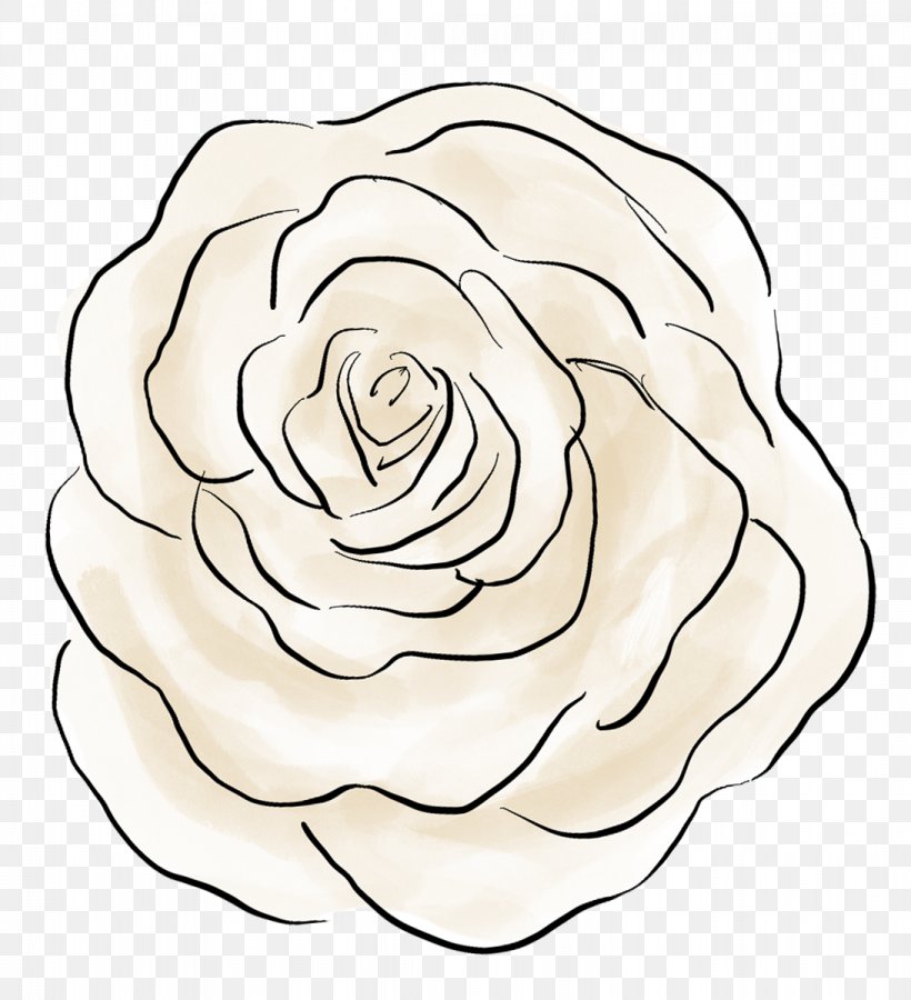 Big Rose Illustration Vector Download