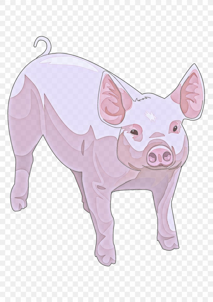 Domestic Pig Suidae Pink Cartoon Snout, PNG, 2480x3508px, Domestic Pig, Boar, Cartoon, Drawing, Livestock Download Free