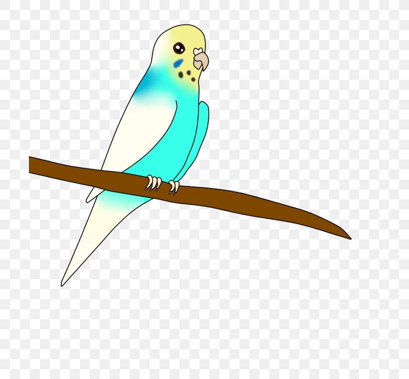 Macaw Parakeet Beak Feather Wing, PNG, 704x760px, Macaw, Beak, Bird, Common Pet Parakeet, Feather Download Free