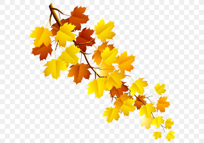 Maple Leaf Branch, PNG, 600x577px, Maple Leaf, Autumn, Autumn Leaf Color, Branch, Canadian Maple Leaf Download Free