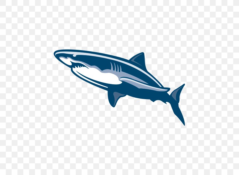 Shark Vector Graphics Stock Illustration Image, PNG, 600x600px, Shark, Art, Cartilaginous Fish, Cartoon, Drawing Download Free