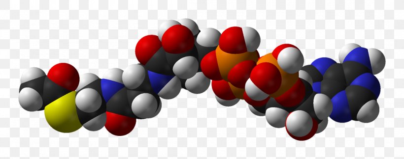 Acetyl-CoA Coenzyme A Acetyl Group Citric Acid Cycle, PNG, 1100x435px, Acetylcoa, Acetyl Group, Acetylcarnitine, Acyl Group, Acylcoa Download Free