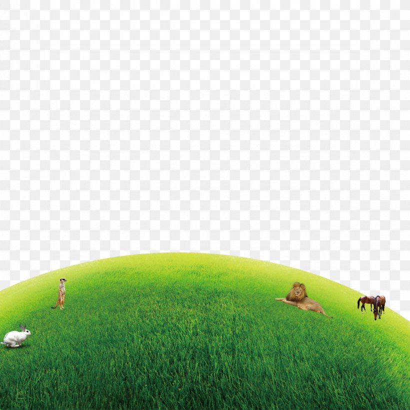 Lawn Green Nature Grassland Wallpaper, PNG, 1181x1181px, Watercolor, Cartoon, Flower, Frame, Heart Download Free