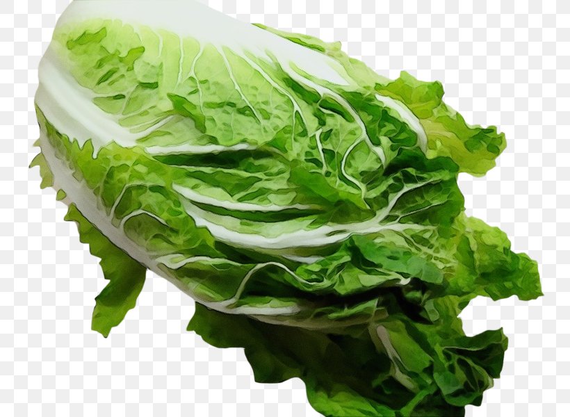 Leaf Vegetable Vegetable Food Lettuce Romaine Lettuce, PNG, 800x600px, Watercolor, Chard, Collard Greens, Food, Iceburg Lettuce Download Free