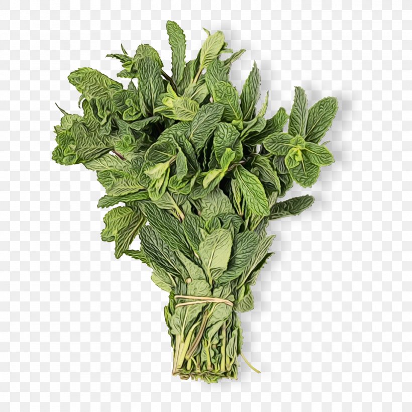 Mint Leaf, PNG, 1500x1500px, Basil, Curly Kale, Fines Herbes, Flower, Greens Download Free
