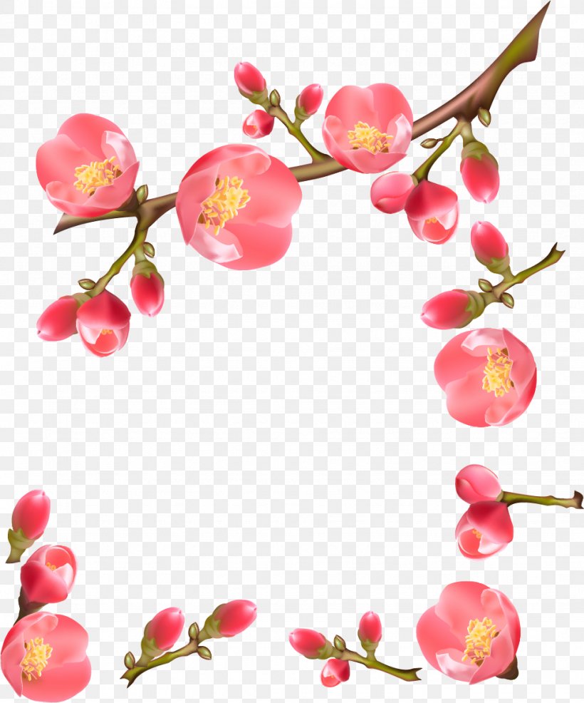 Flowering Quince Royalty-free, PNG, 975x1173px, Flower, Artificial Flower, Blossom, Branch, Cherry Download Free