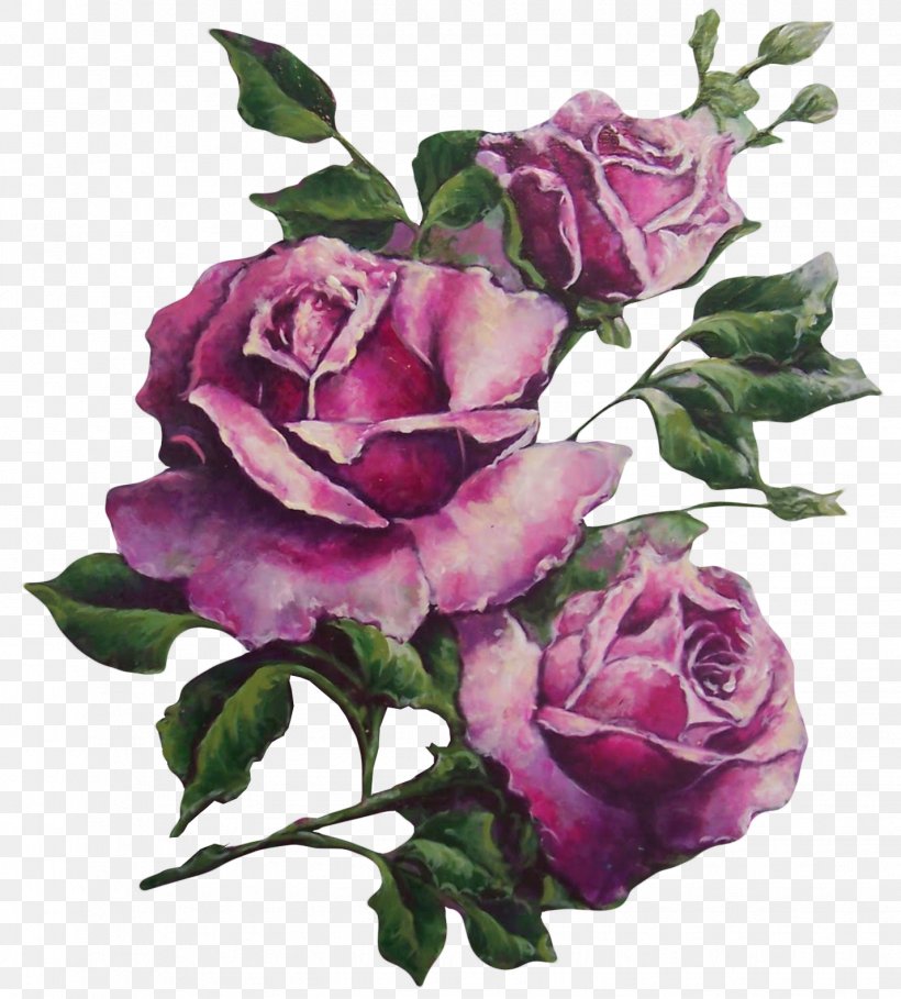 Paper Rose Flower Purple Vintage, PNG, 1428x1583px, Watercolor, Cartoon, Flower, Frame, Heart Download Free