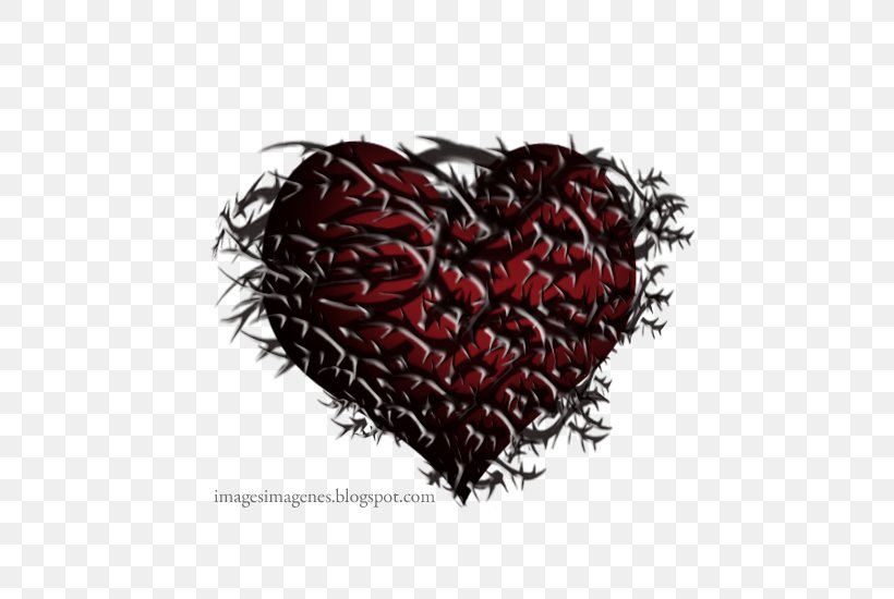 Tiene Espinas El Rosal Jenny And The Mexicats Heart Image Thorns, Spines, And Prickles, PNG, 550x550px, Heart, Berry, Color, Drawing, Game Download Free