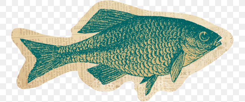 Tilapia Fish Animal, PNG, 747x343px, Tilapia, Animal, Animal Figure, Fauna, Fish Download Free