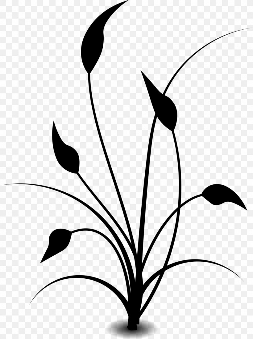 Clip Art Vector Graphics Illustration Image JPEG, PNG, 958x1281px, Soybean, Bean, Blackandwhite, Botany, Branch Download Free