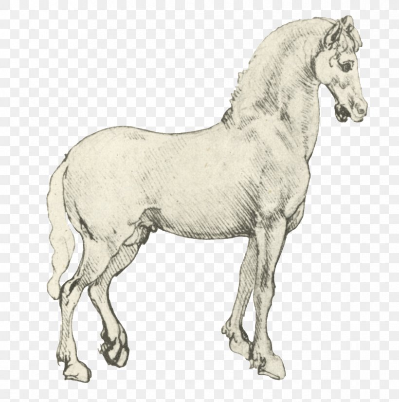 Drawing Mustang Stallion Animal Foal, PNG, 1188x1198px, Drawing, Animal, Animal Figure, Bit, Black And White Download Free
