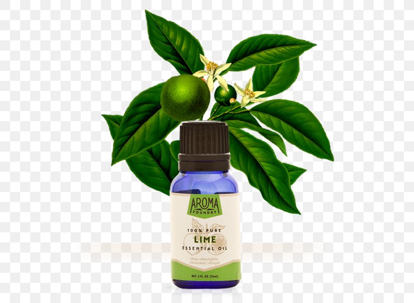 Essential Oil Tangerine Lime Orange, PNG, 559x600px, Essential Oil, Aroma Compound, Fragrance Oil, Herb, Herbal Download Free