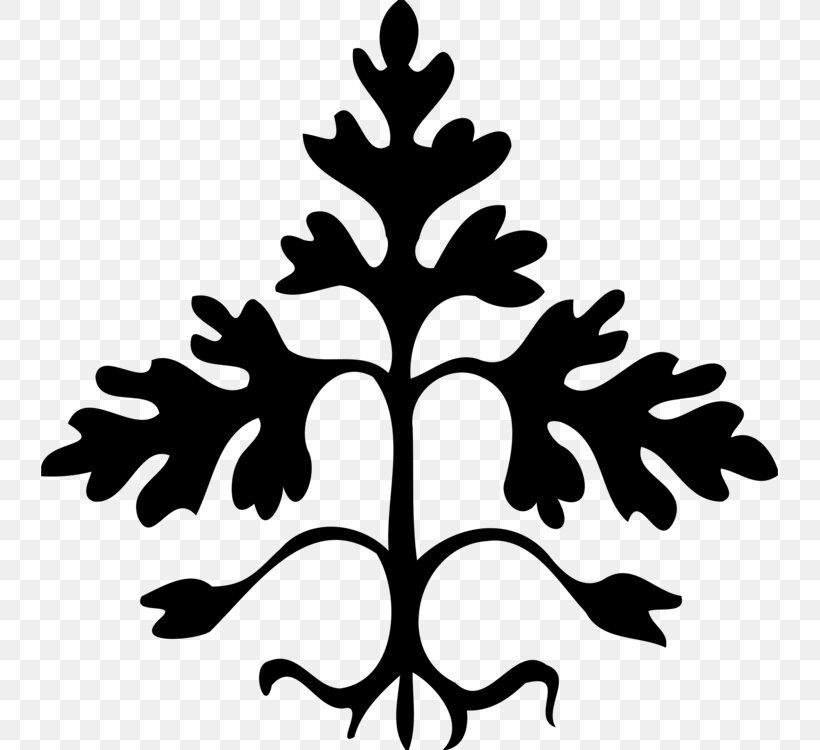 Family Tree Silhouette, PNG, 737x750px, Leaf, Blackandwhite, Branch, Conifer, Drawing Download Free