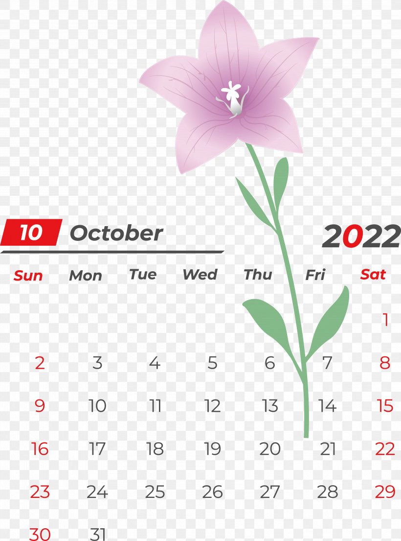 Flower Calendar Petal Font Meter, PNG, 3974x5360px, Flower, Biology, Calendar, Meter, Petal Download Free