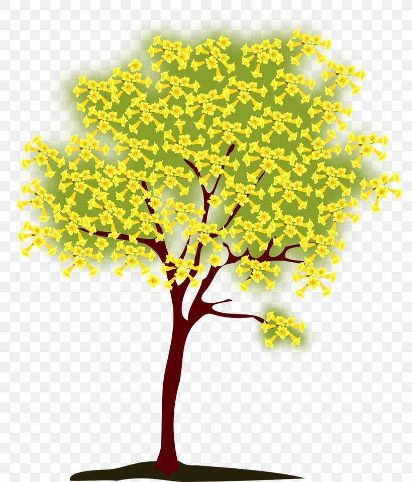 Handroanthus Chrysotrichus Tree Clip Art, PNG, 1095x1280px, Handroanthus Chrysotrichus, Branch, Flower, Flowering Plant, Handroanthus Albus Download Free