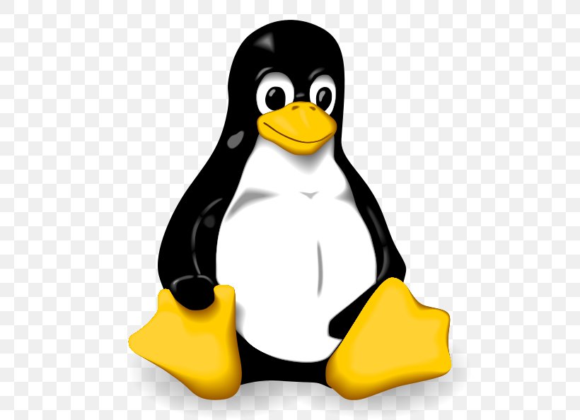 Linux Installation Operating Systems Tux Ubuntu, PNG, 512x594px, Linux, Beak, Bird, Computer Servers, Computer Software Download Free