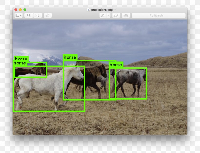 Object Detection Real-time Computing YOLO, PNG, 1770x1358px, Object Detection, Cattle Like Mammal, Class, Convolutional Neural Network, Detection Download Free
