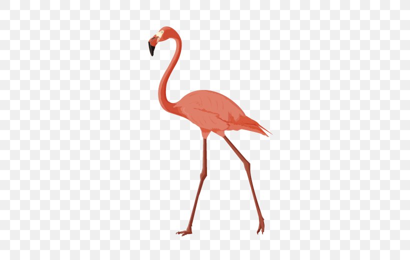 Crane Bird Animal, PNG, 600x520px, Crane, Animal, Beak, Bird, Flamingo Download Free