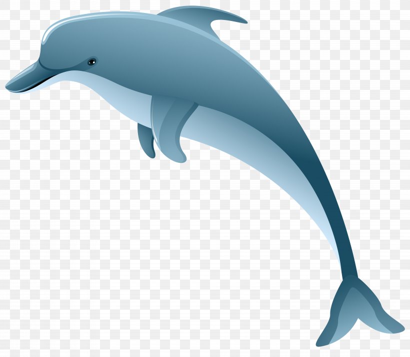 Dolphin Clip Art, PNG, 8000x6984px, Common Bottlenose Dolphin, Beak, Blowhole, Bottlenose Dolphin, Cetacea Download Free