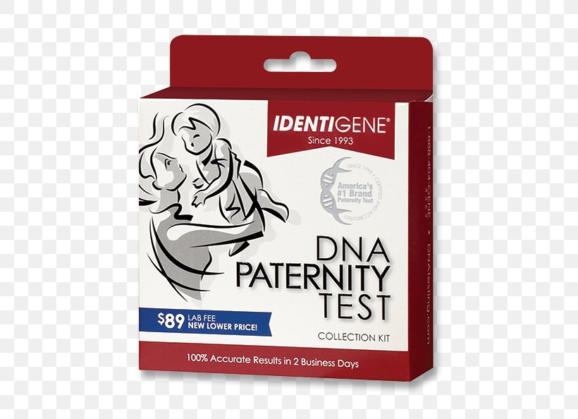DNA Paternity Testing Genetic Testing Genealogical DNA Test DNA Profiling, PNG, 500x594px, Dna Paternity Testing, Brand, Buccal Swab, Child, Dna Download Free