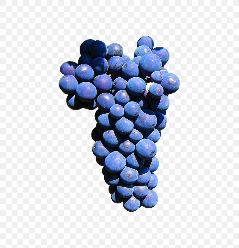 Grape Nail Wine Offida Carménère, PNG, 416x850px, Grape, Berry, Bilberry, Cobalt Blue, Docg Download Free
