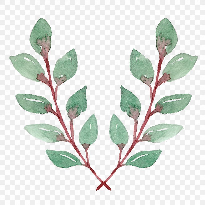 Illustration Television Leaf Image, PNG, 1800x1800px, Television, Branch, Cartoon, Flower, Fruit Download Free