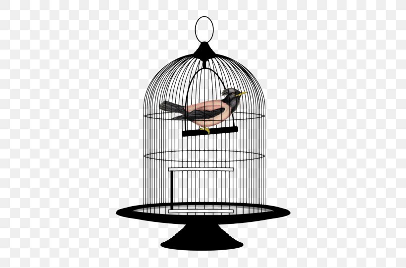 Parrot Lovebird Birdcage Clip Art, PNG, 500x541px, Parrot, Bird, Birdcage, Cage, Lovebird Download Free