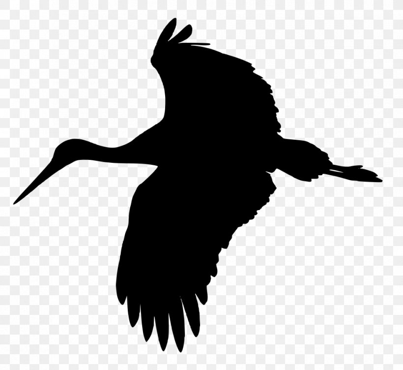 White Stork Crane Heron Bird Clip Art, PNG, 981x900px, White Stork, Beak, Bird, Bird Of Prey, Black And White Download Free