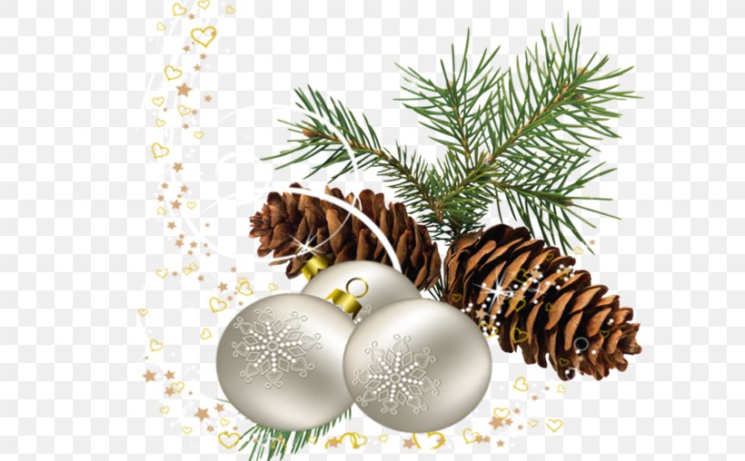 Fir Conifer Cone Stone Pine Scots Pine Clip Art, PNG, 600x508px, Fir, Branch, Christmas Decoration, Christmas Ornament, Cone Download Free