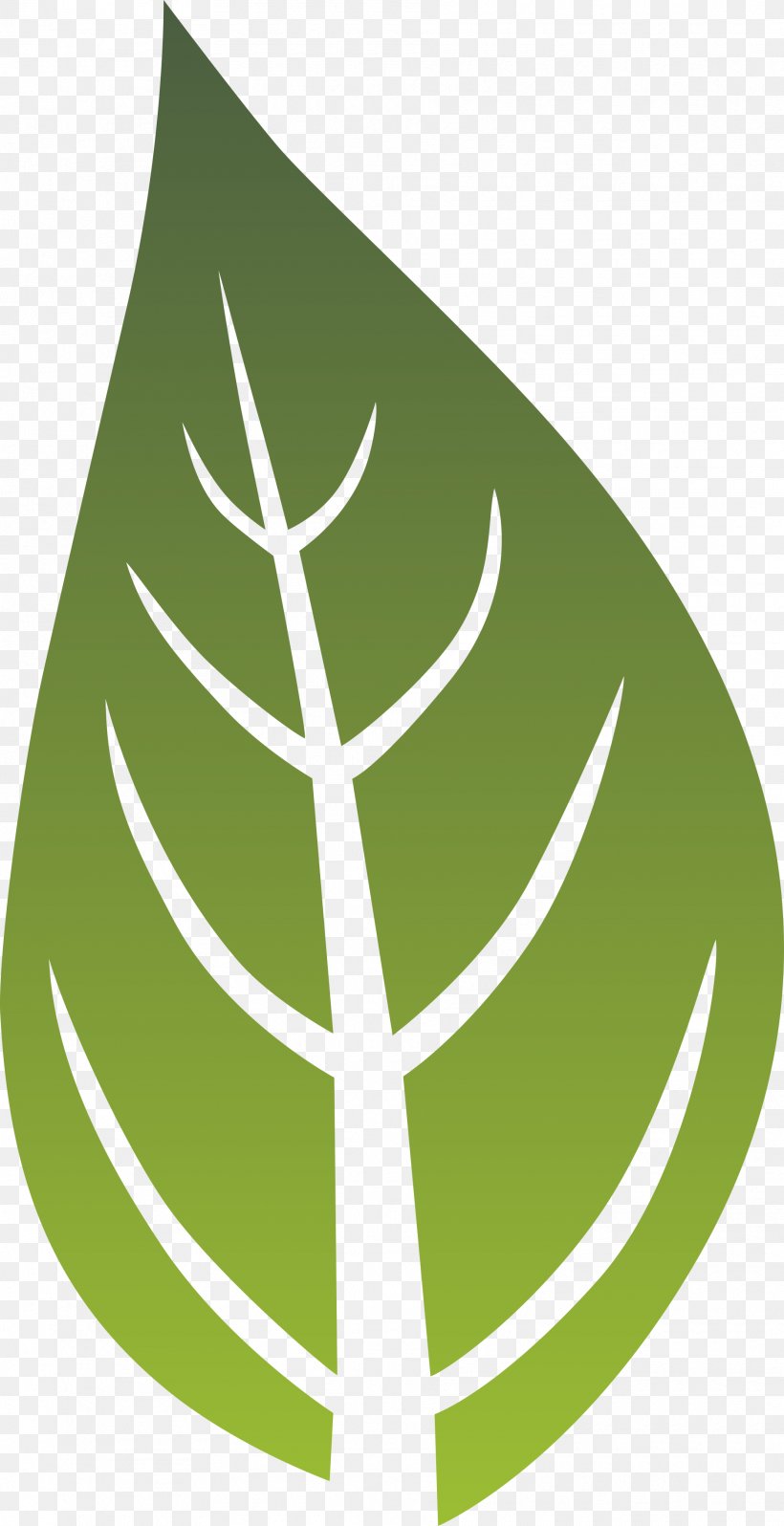 Logo Leaf Green Font, PNG, 1875x3650px, Logo, Flora, Grass, Green, Leaf Download Free