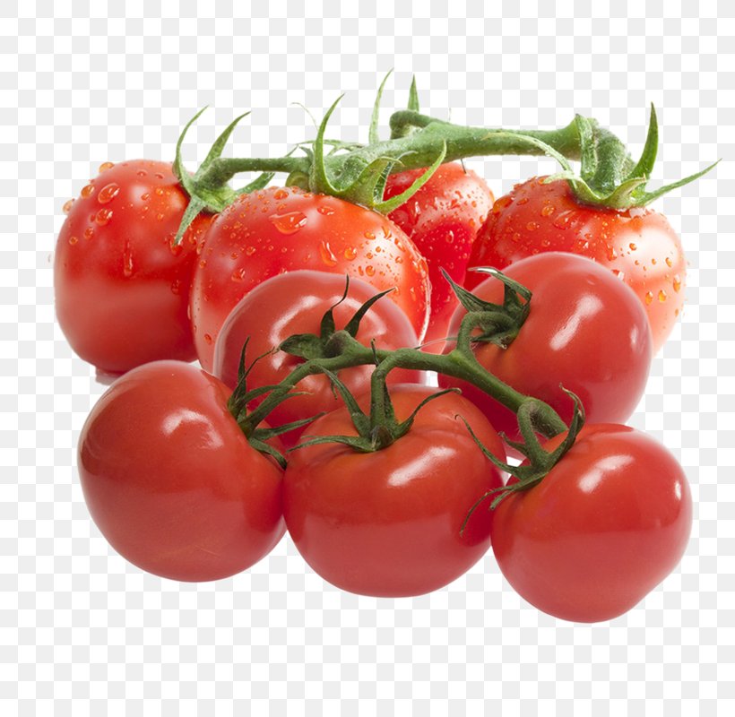 Tomato Paste Ripening Canned Tomato Extract, PNG, 800x800px, Tomato, Bitter Orange, Bush Tomato, Canned Tomato, Canning Download Free