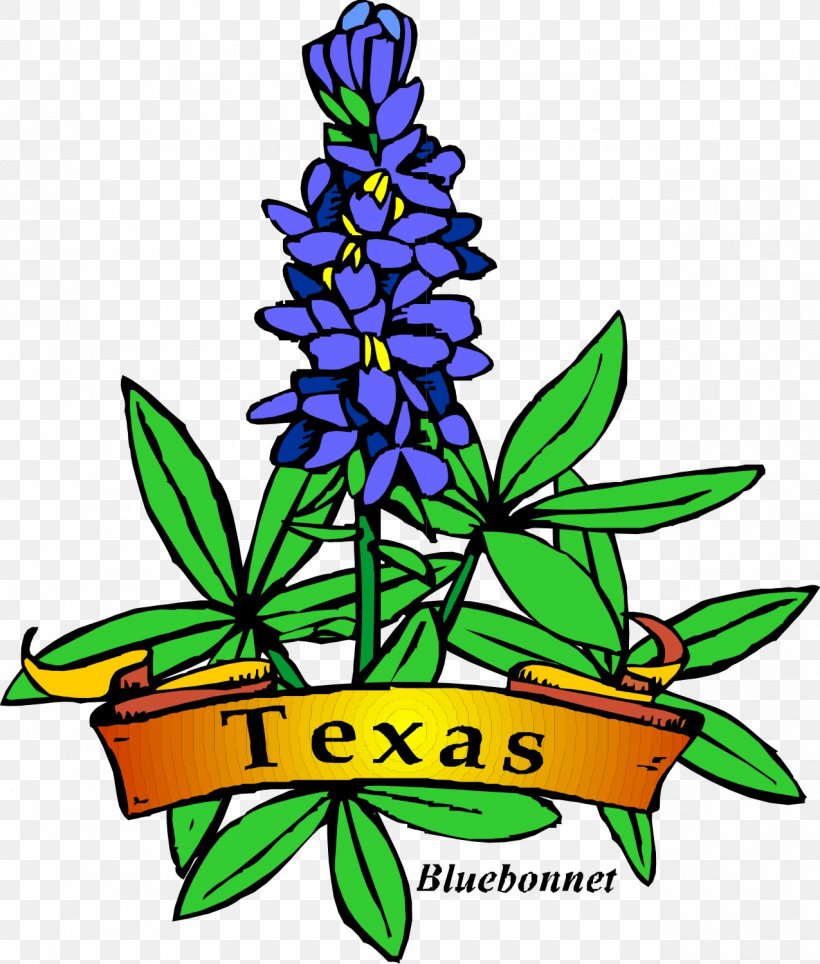 Texas Bluebonnet Texas Bluebonnet Drawing Clip Art, PNG, 1275x1500px, Texas, Artwork, Bluebonnet, Cut Flowers, Drawing Download Free