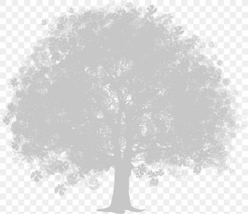Tree Clip Art, PNG, 883x763px, Tree, Black And White, Branch, Cedar, Conifer Cone Download Free