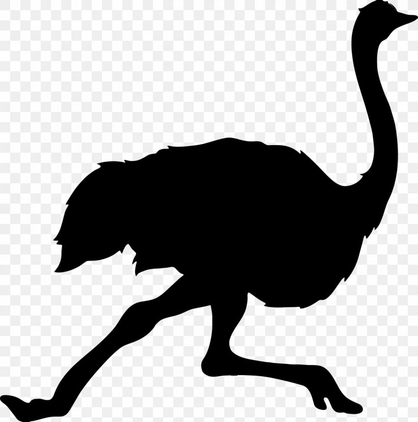 Common Ostrich Bird Silhouette Clip Art, PNG, 1266x1280px, Common Ostrich, Beak, Bird, Black And White, Drawing Download Free