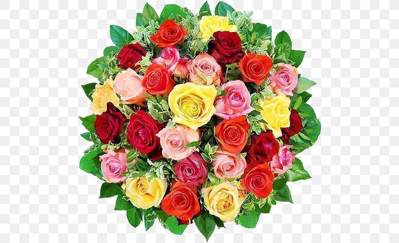 Cut Flowers Wreath Rose WhatsApp, PNG, 500x500px, Flower, Annual Plant, Cut Flowers, Floral Design, Floriculture Download Free